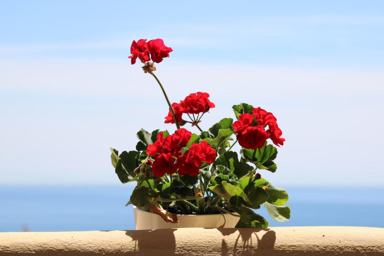 Amazing Sea View Apartment Fuengirola Exterior foto